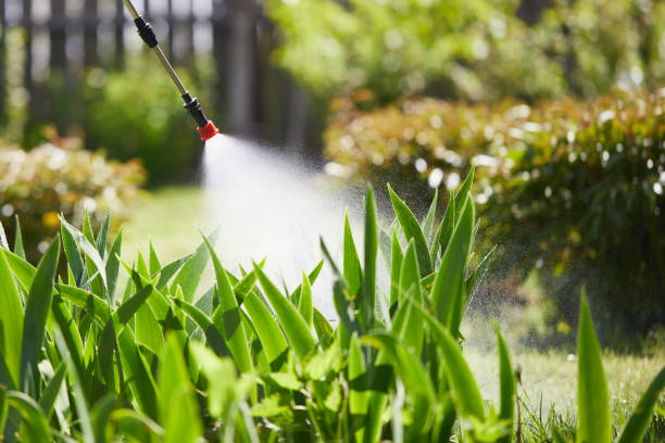 24/7 Emergency Ant Control experts in Brownsville, LA