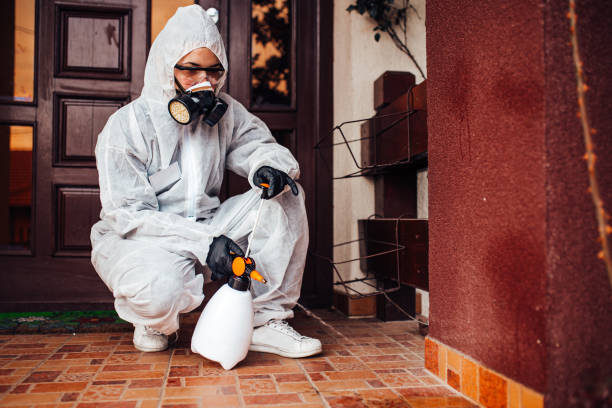 Reliable Ant Control contractor in Brownsville, LA by Nex Pest Control