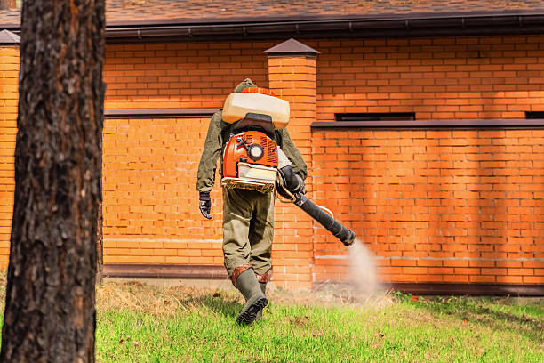 Trusted Ant Control service in Brownsville, LA - Nex Pest Control